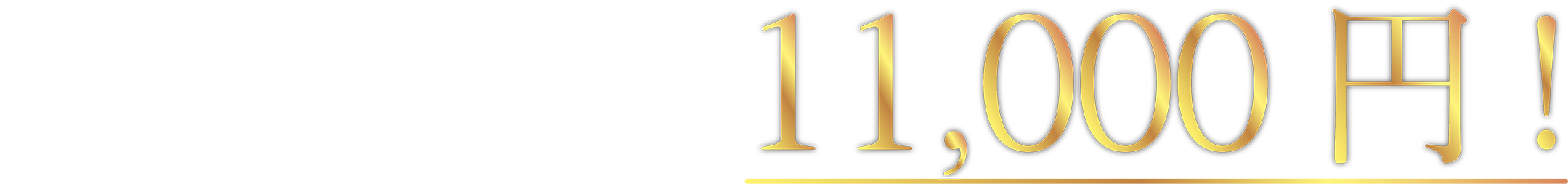 通常15,400円が実質11,000円